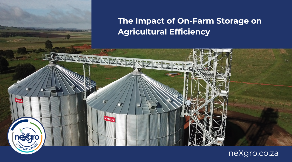 Revolutionising the Grain Supply Chain: The Impact of On- Farm Storage on Agricultural Efficiency