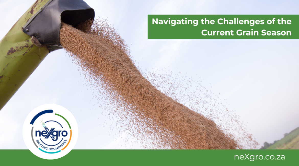 Navigating the Challenges of the Current Grain Season